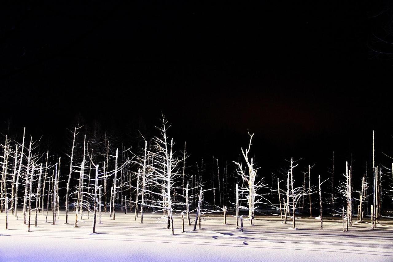 Stay In Tokiwa Asahikawa Buitenkant foto